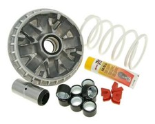 Variomatik Malossi Multivar