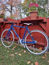 Rennrad Leader Blau Weiß