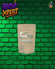 Green house feeding - green,
