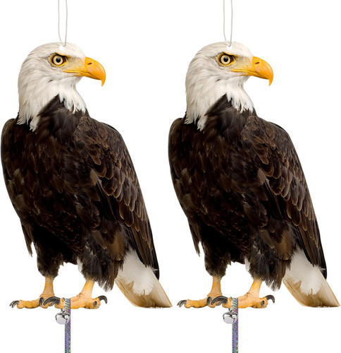 Vogelabwehr raben attrappe - vogelabwehr,