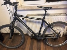 Stevens Fahrrad Strada 600 Bike 2022 55 Zoll