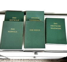 Ferdinand von Raesfeld, der