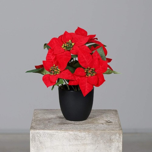 Künstlicher weihnachtsstern - künstlicher,