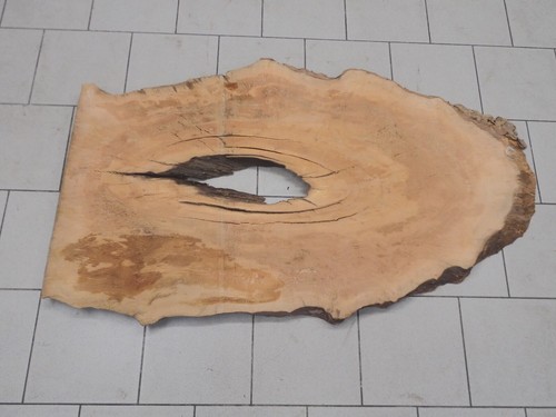 Platane plantanen brett holz - platane,