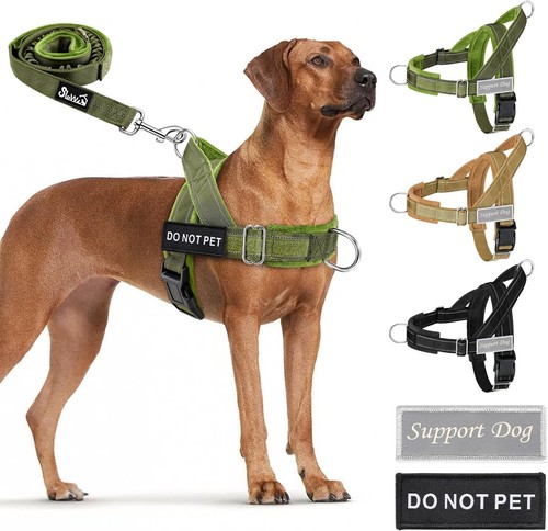 Hundegeschirr für große