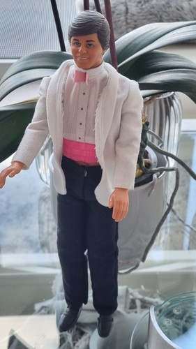 Barbie ken trägt wedding - barbie,