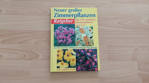 Neuer großer