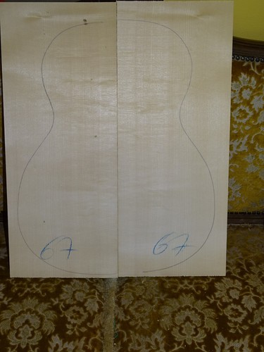 Tonholz tonewood legname - tonholz,, tonewood,