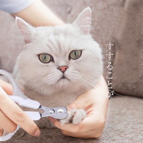 Hundefriseur zubehör - hundefriseur,