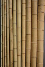 Bambusrohr  3-4 cm 2m Bambusrohre Bambusstange Bambusstangen Bambushalm Bambus