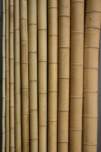 Bambusrohr cm 2m - , 3-4
