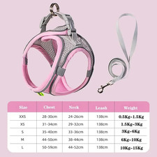 Hundegeschirr-Leine-Set Für