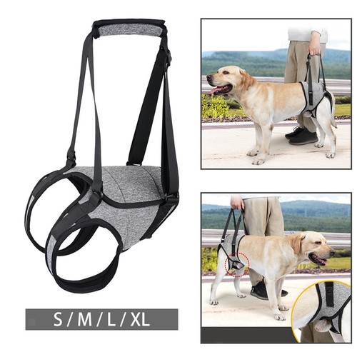 Hundegeschirr hebehilfe - hundegeschirr,