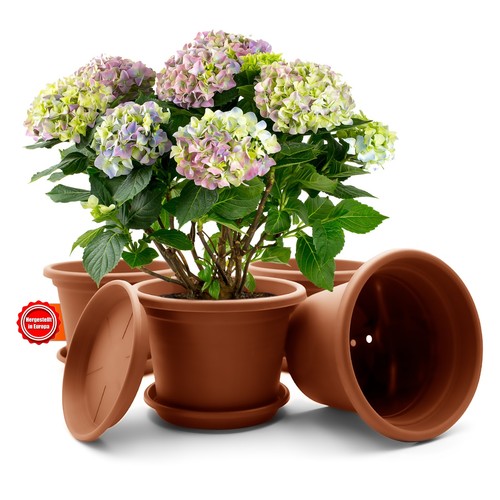 Stück blumentopf mit - stück,