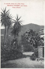 6 MIRAMAR MIRAMAR D ESTEREL