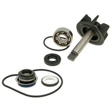 Wasserpumpen-Reparaturset für
