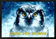 Fußmatte Schmutzfangmatte Schön dich zu sehen Eule F550