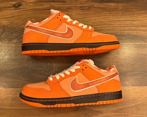 Nike dunk low concepts - nike,