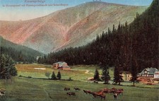 Riesengebirge Scenic Postcard