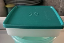 Tupperware Gefrierbehälter