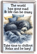Bearded collie schiefer - collie, hund