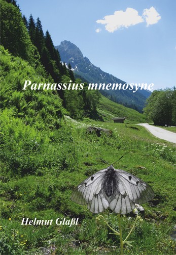 Parnassius mnemosyne helmut - parnassius,