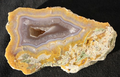 Versteinertes - versteinertes, (achatisiertes)