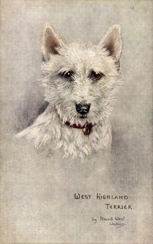 Artist postcard maud west - artist,