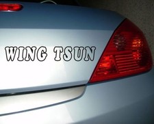 1 x  Wing Tsun  Aufkleber 130