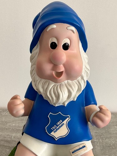 Tsg 1899 hoffenheim torjubel - 1899,
