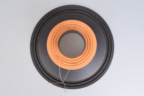 New ampeg rcf l12 - new,