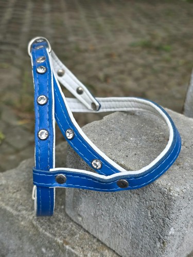 Hundegeschirr leder geschirr - leder,