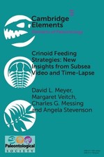 Crinoid Feeding Strategies