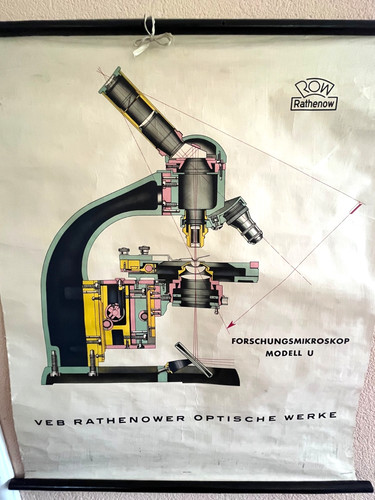 Ddr rollkarte mikroskop - rollkarte,