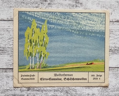 Cirro cumulus schäfchenwolken - cirro,
