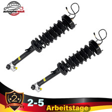 2x Hinten Stoßdämpfer Links