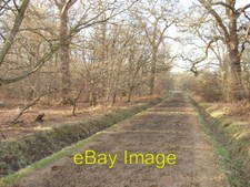 Foto 6x4 Reiten Windsor Great