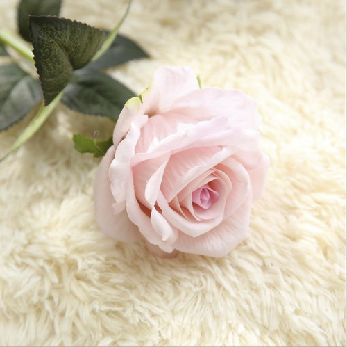 Einzelne köpfe seidenrose - einzelne,