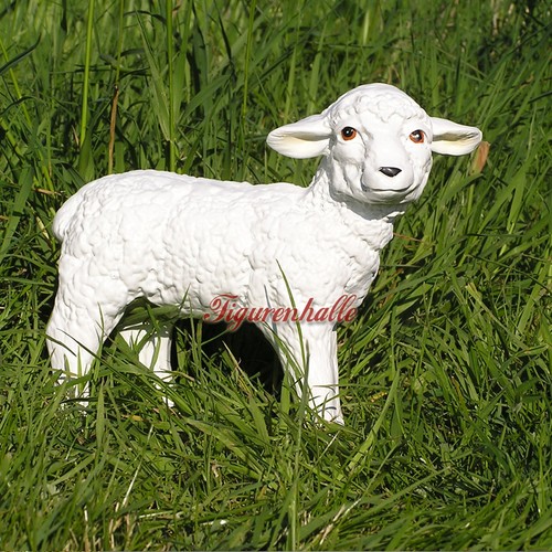 Lamm lämmchen schaf figur - lämmchen,