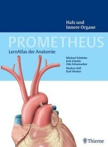 Prometheus lernatlas der - prometheus,