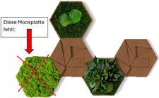 styleGREEN Kork-Hexagon 5er Set (sG-Ko-He-Mix-5er) ohne Moosplatte - GENAU LESEN