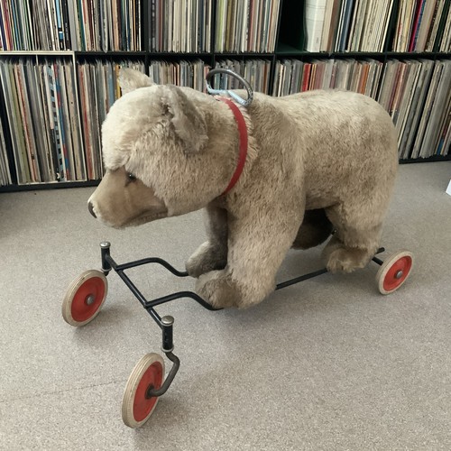 Original steiff teddy 50er - original, steiff-teddy,