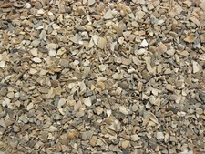 Ostrea Muschelschalenschrot