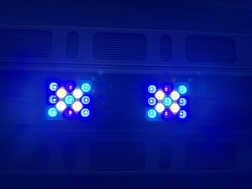 Maxspect r420r - maxspect,