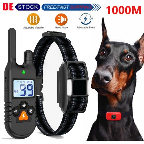 1000m elektroschock pet - elektroschock, dog