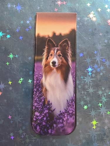 Sheltie magnetisches - sheltie, --