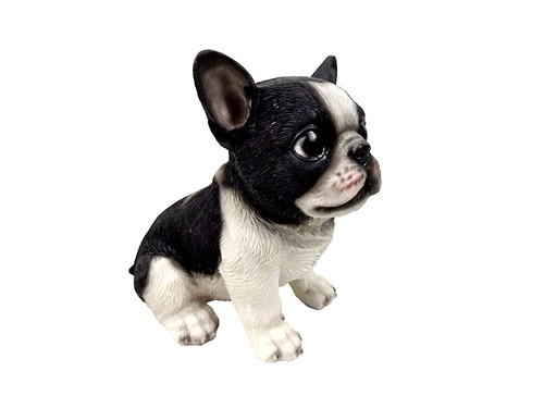 Bulldogge bull dogge - bull,
