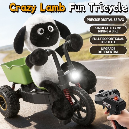 Drift schaf motorrad - rc,