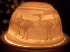 Windlicht Lithophanie Vogel Strauß Nandu Afrika Porzellan Teelichthalter Emu