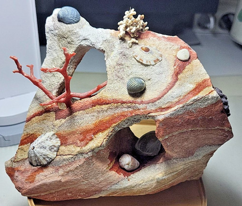 Aquarium freunde stein mit - aquarium,